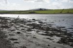 PICTURES/Ring of Kerry - Cahergall, Ballycarbery Castle & Kerry Cliff/t_DSC00479.JPG